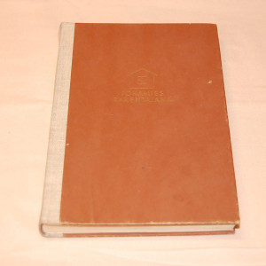 Jokamies rakentajana